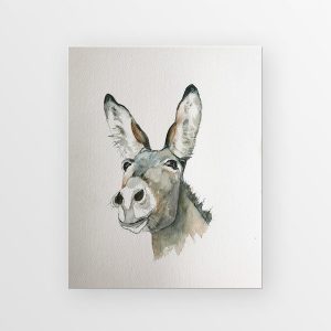 kimmy priggen, watercolour, animal painting, donkey, watercolor